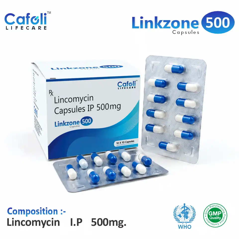 Lincomycin 500 mg Capsule PCD Pharma Franchise